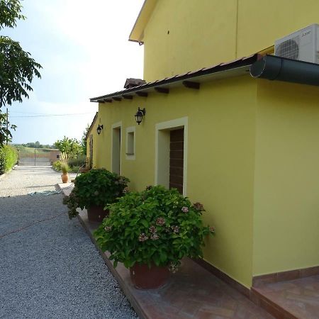 Appartamento Podere I Renai Santa Maria a Monte Zewnętrze zdjęcie