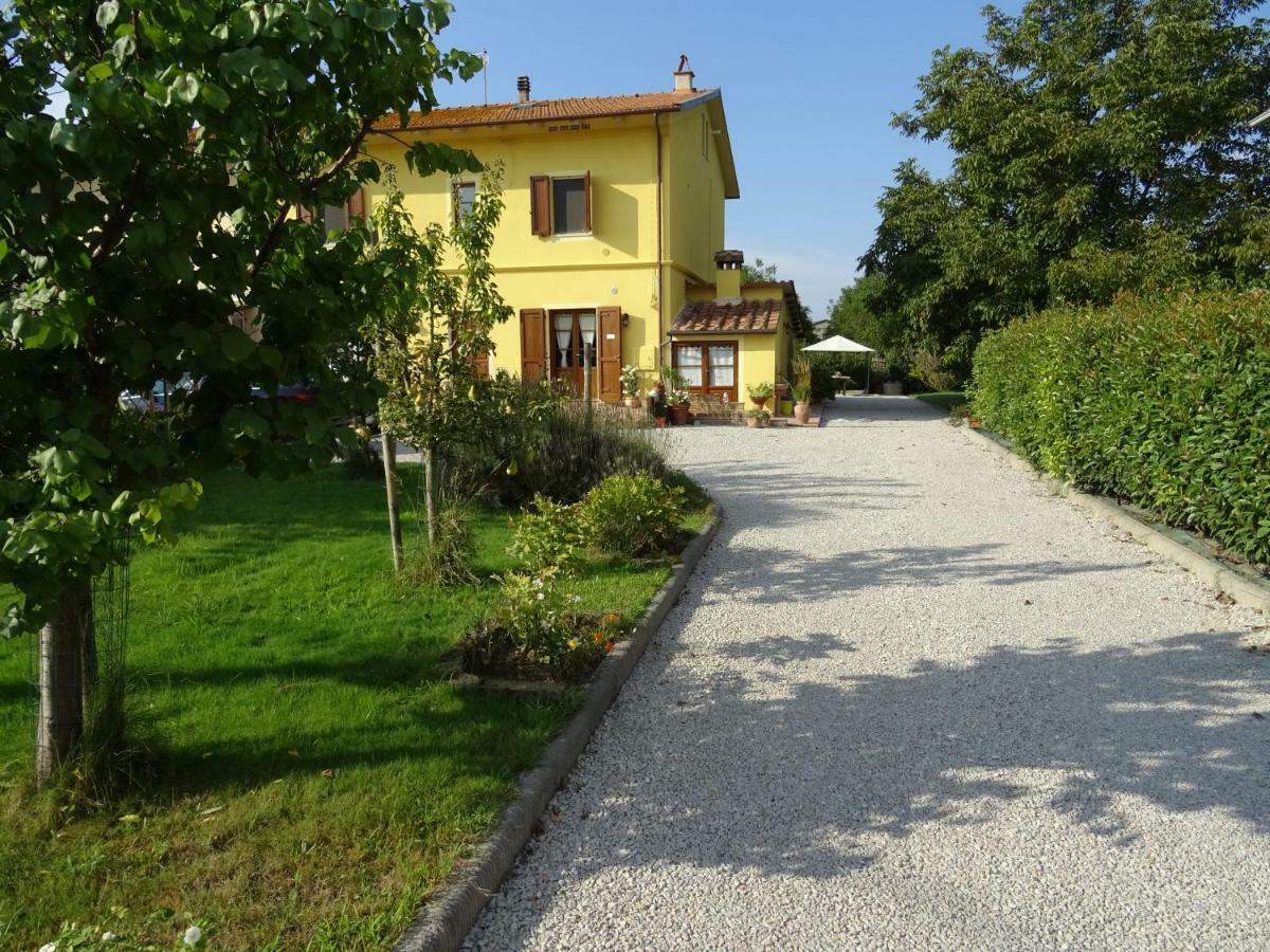 Appartamento Podere I Renai Santa Maria a Monte Zewnętrze zdjęcie